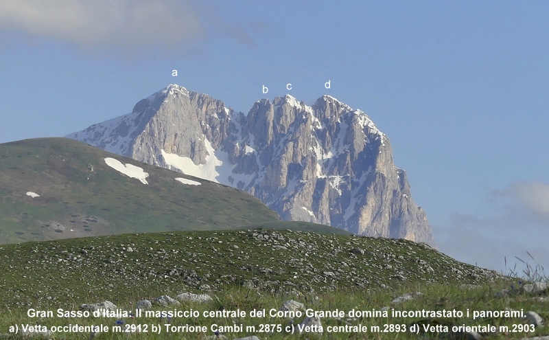 Orchidee a Campo Imperatore tra Medioevo e wilderness  primavera 2023